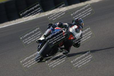 media/Oct-12-2025-CRA (Sun) [[e621380112]]/Races/Race 9/